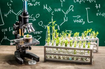 laboratorio-academico