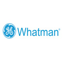 whatman